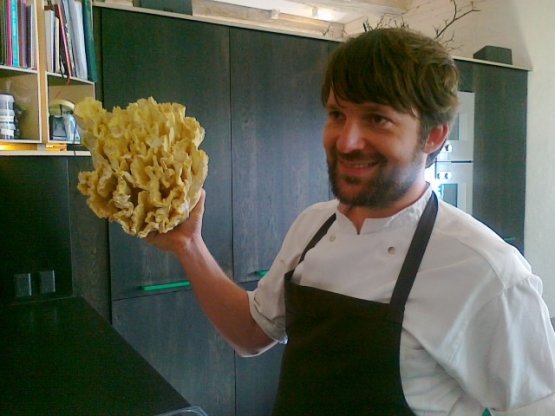 Il cuoco Renè Redzepi, 35 anni fra due mesi, impugna un fungo: «Un regno incredibile, di cui sappiamo ancora pochissimo».  Nella fotogallery sotto, trovate tutti i dettagli