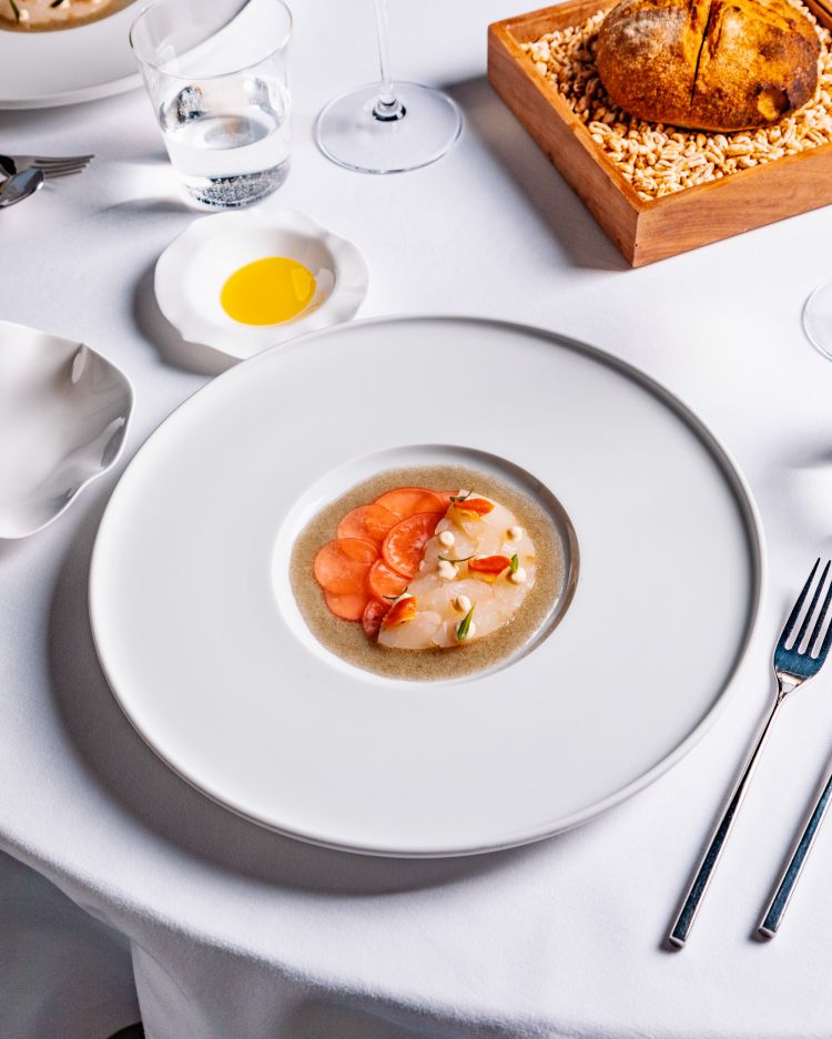 Crudo di branzino, fasolari, ravanelli