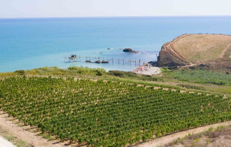L'Abruzzo viticolo e i trabocchi: qui siamo ne