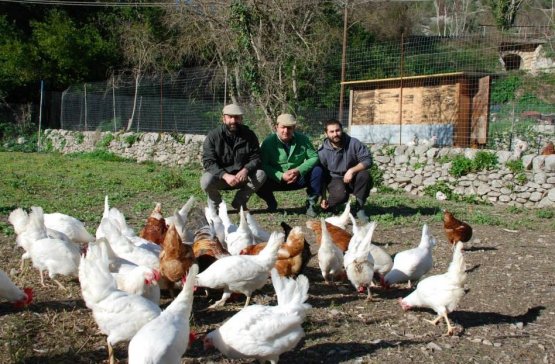 The chef together with Carmelo Cilia (left) and Paolo Moltisanti among the hens in the breeding farm L'Aia Gaia