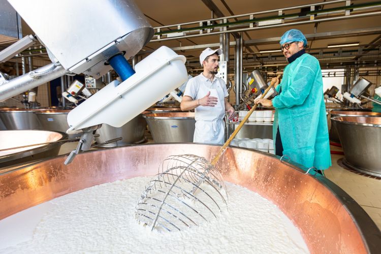 Il valtellinese&nbsp;Alessandro Negrini in un caseificio...
