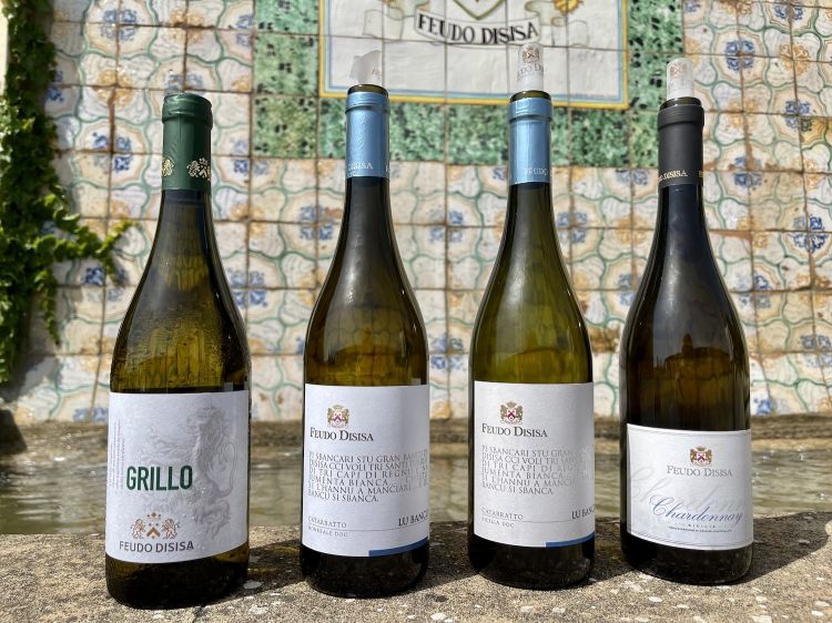 Alcune delle etichette di Feudo Disisa in degustazione: Grillo, Catarratto Lu Bancu e Chardonnay 
