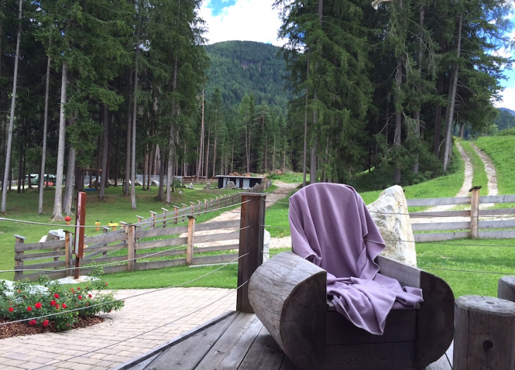 Il bosco e i prati tutt'attorno la realtà di Alpe Pragas a Braies in Pusteria

