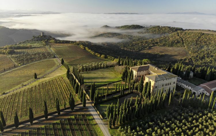 Una bella immagine dall'alto della tenuta di Argiano
