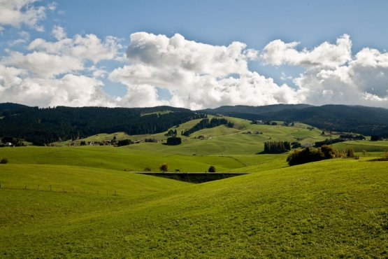 The Asiago plateau 