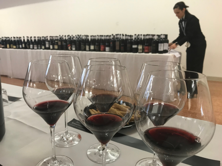 I 43 Amarone in degustazione dell'annata 2014
