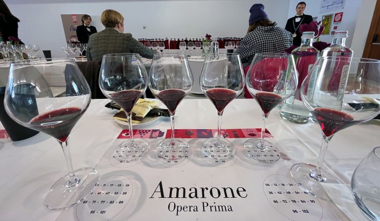 La degustazione tecnica dei 72 Amaroni 2019 in anteprima