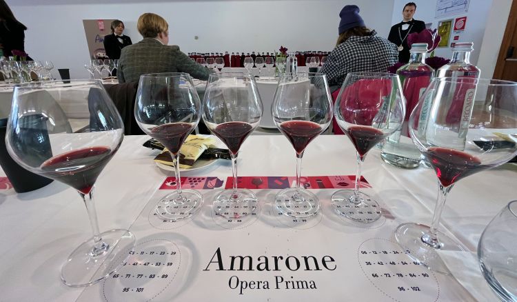 La degustazione tecnica dei 72 Amaroni 2019 in anteprima
