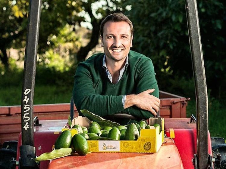 Sicilia Avocado is a group of 39 small farms established in 2013 in Giarre (Catania) by young Sicilian entrepreneur Andrea Passanisi, in the photo. Having soon become a leader in the industry, the group distributes its fruits all over Italy and in Europe, and counts on a portfolio of professional and individual clients, and groups of purchase. The farms spread from the slopes of Etna to the Ionian sea
