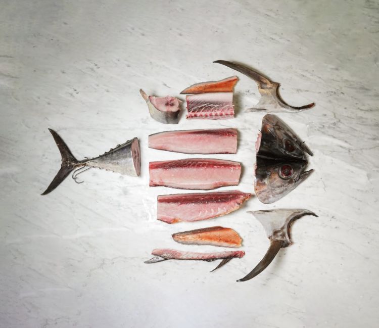 Angiò, del pesce non si butta nulla