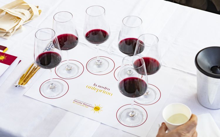 Anteprima di Colline Teramane Montepulciano d’Abruzzo DOCG