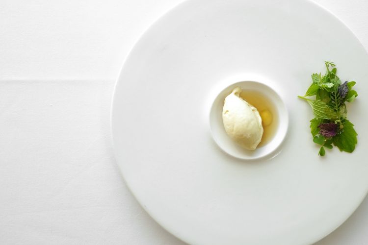 Gelato al fiordilatte e miele, brodo di tarassaco, erbe di Vencò con scorzette di limone candito
