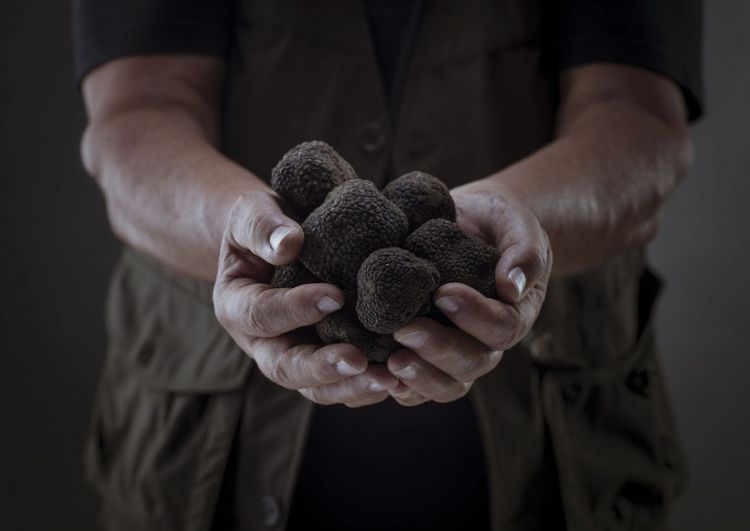 Tartufo nero pregiato di Norcia
