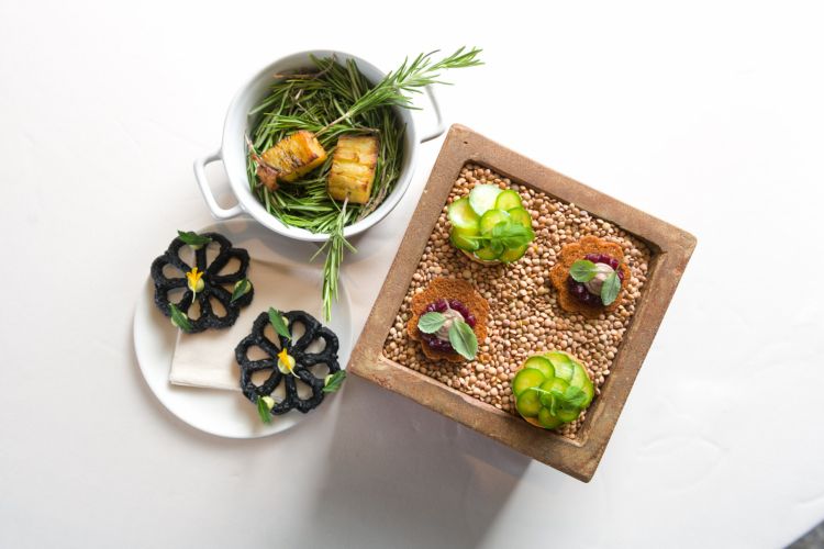 Gli appetizer di apertura: tartelletta di cappero affumicato, frittella al nero di seppia con avocado siciliano, crostino di nocciole con patè di fegatini e marmellata di cavolo viola
