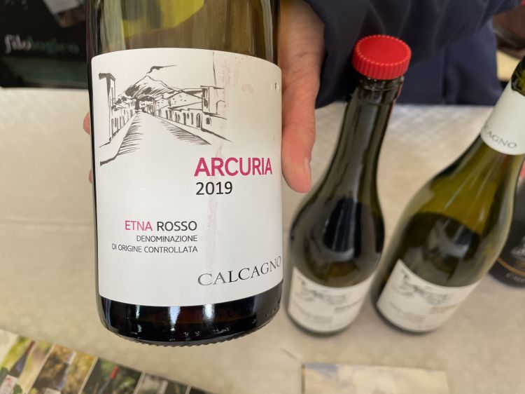 Arcuria 2019 - Calcagno
