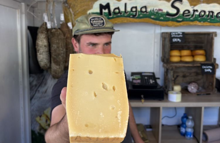 L'asiago vecchio di Malga Serona