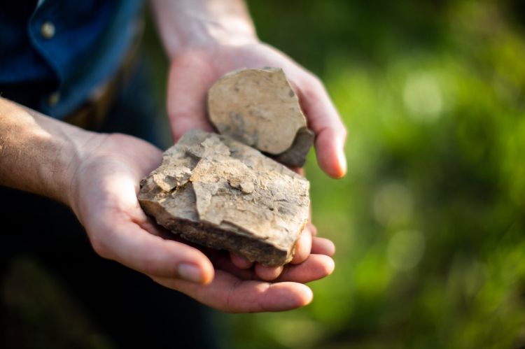 La ponca, che caratterizza i suoli dei vigneti di 