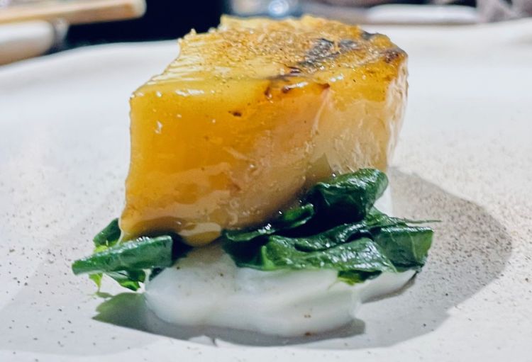 Finocchio, lattica di capra e rucola, piatto protagonista a Identità Golose 2025 con Anisia Cafiero e Pasquale De Biase