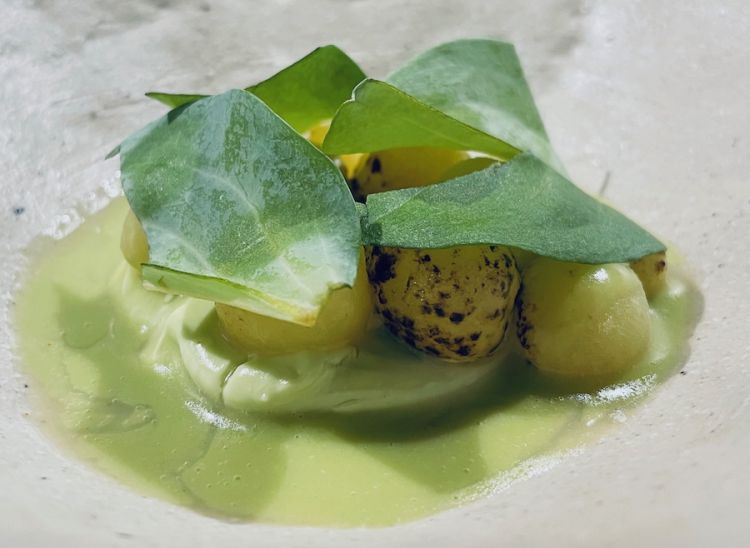 Patate novelle, scalogno, aneto, oliva verde e foglia d'ostrica