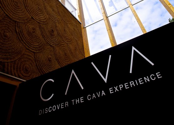 Cava Experience è l'esperienza multimediale che è stata allestita presso il padiglione spagnolo a Expo 2015