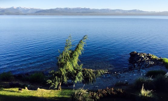 Un’immagine in piena estate australe, quindi dic