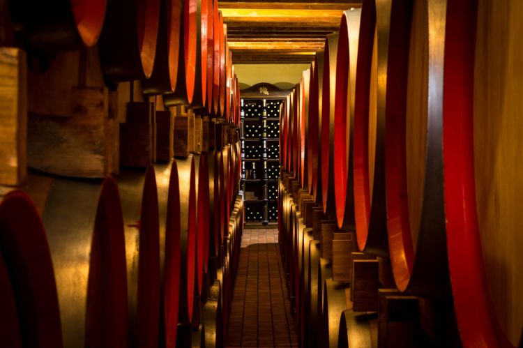 Barricaia di Tenute Nicosia