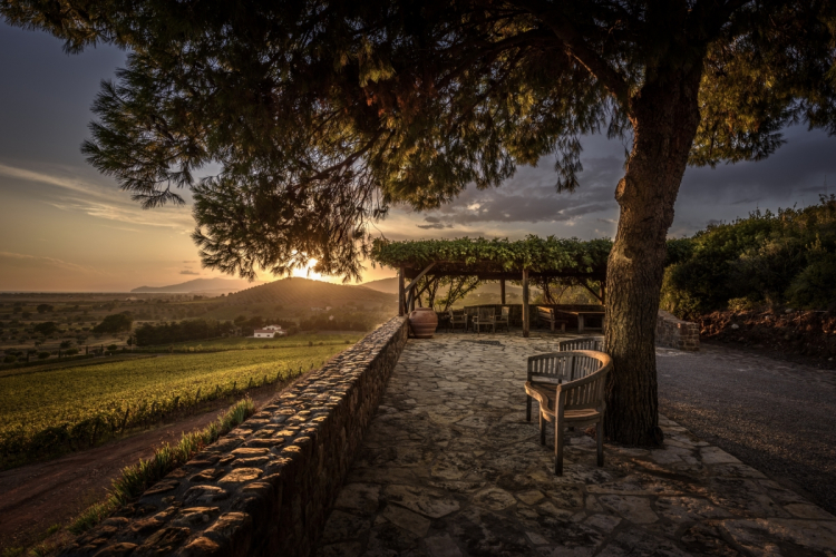 Un suggestivo panorama dall'azienda