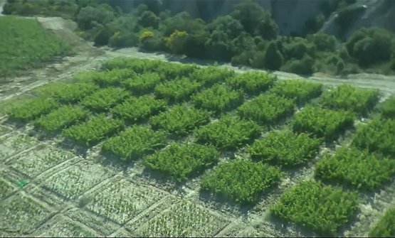 A view from above of Podere Le Ripi’s 