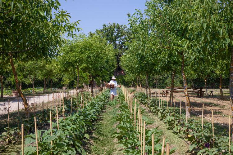Borgo Santo Pietro ha vinto il Best Sustainability Program.