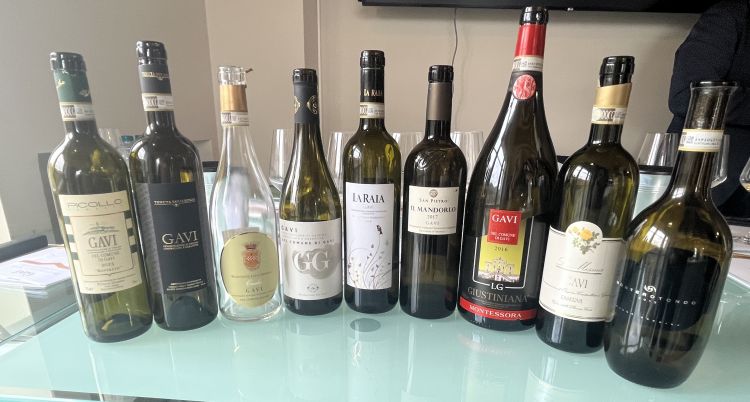 Le bottiglie di Gavi in degustazione
