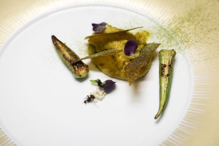 Vatapà, okra e formiche

Alla base del piatto, quella che somiglia a una polenta nostrana, nuda, dalla consistenza quasi budinosa, piacevolmente speziata e lievemente affumicata; l’okra fritta ha una consistenza croccante fuori, dal cuore cremoso di una zucchina mentre sorprende la formica, succosa e fresca dalla nota spinta di lemongrass: viene raccolta e lavorata dalle popolazioni indigene. «Il sapore? È tutto nella testa«, commenta chef Atala.

Foto Brambilla / Serrani
