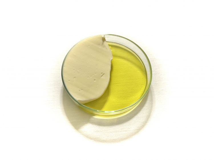Burro e olio (buonissimi) allo Zefiro, il ristoran