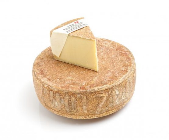 Holzhofer

