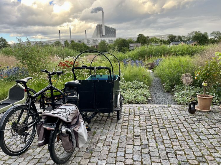 In the garden at Noma. In the background, the Copenhill incinerator is fuming. The vegetable season menu is 3’000 Danish crowns (400 euros); the wine pairing is 1’800 (240 euros). There’s also the juice pairing option (135 euro)
