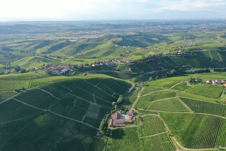 Uno sguardo dall'alto su vigneti e cantina