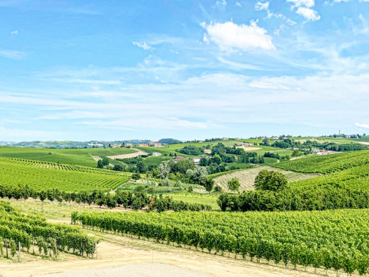 Vista sui vigneti dall’Azienda Agricola G.D. Vaj