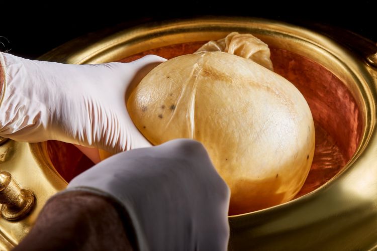 Cacio e pepe in vescica
