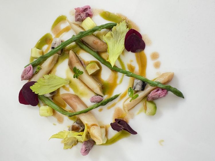 Cannolicchi con fiori di pesco
