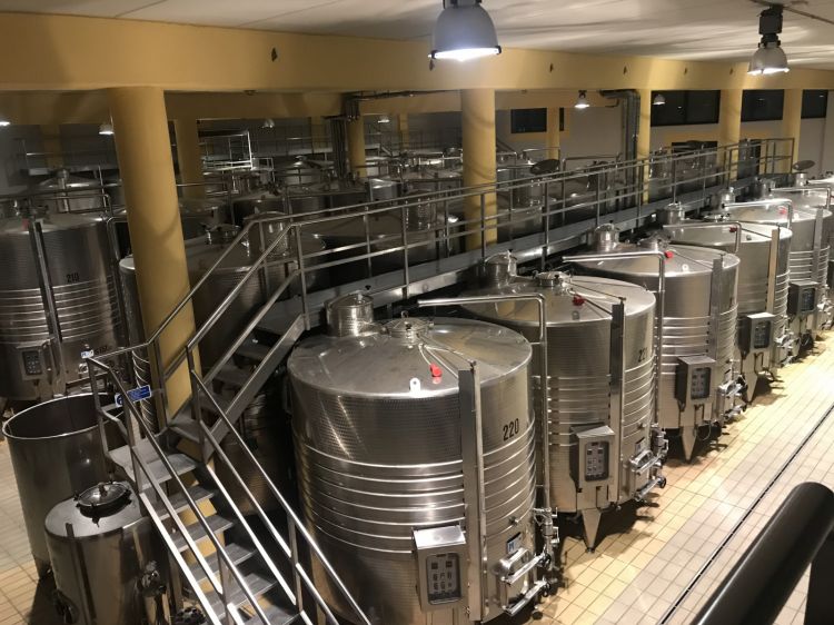 La cantina di vinificazione di Altesino, completamente interrata
