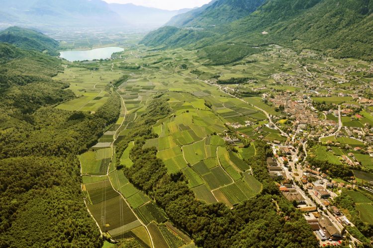 I vigneti attorno al lago di Caldaro
