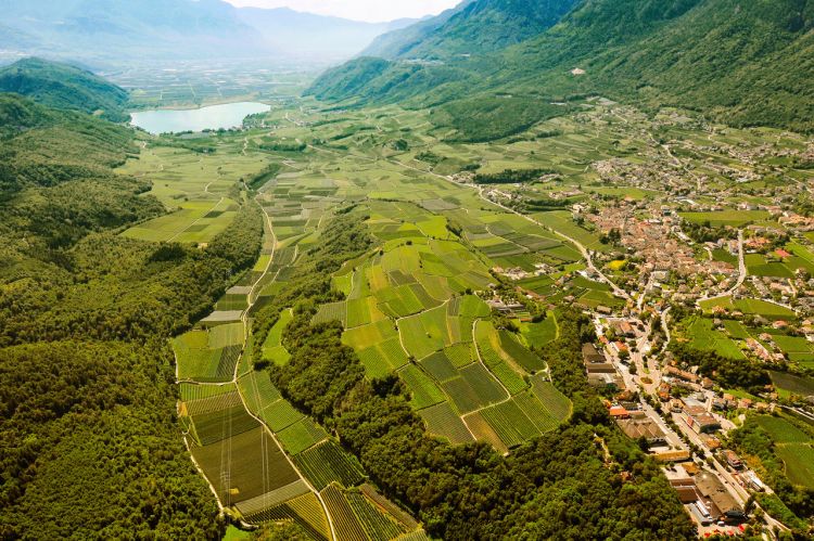 Il paese di Caldaro, il lago, le vigne
