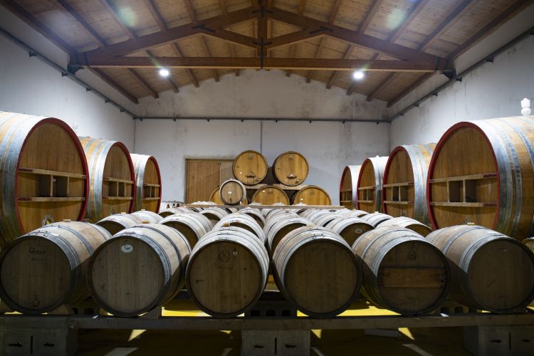 Botti per l'invecchiamento alla Cantina Marilina