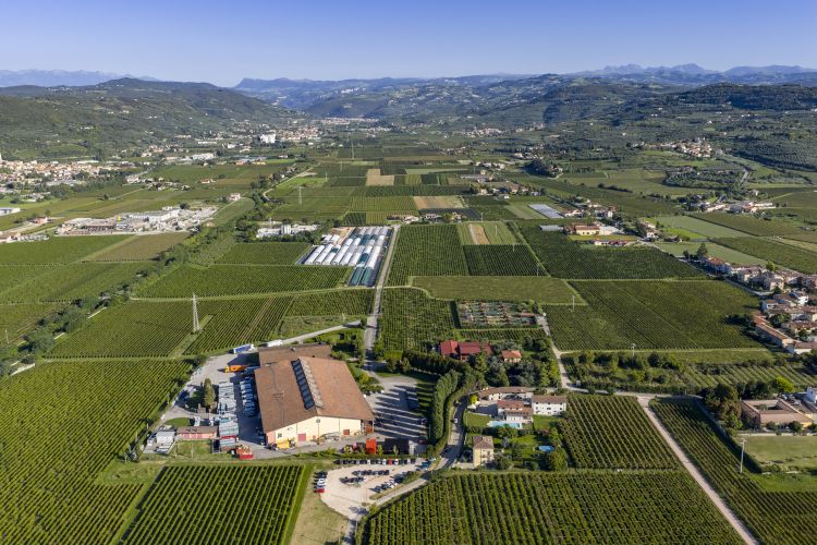 La cantina e sede di Pasqua
