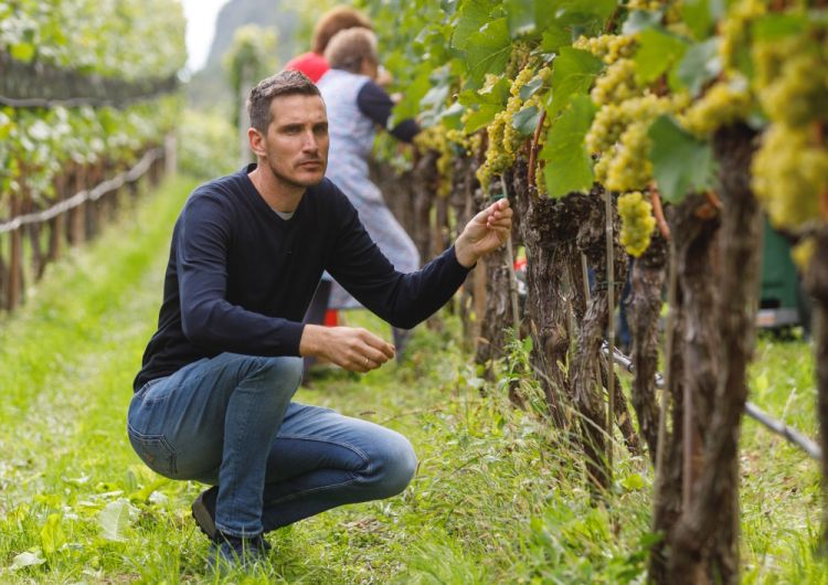 Philipp Zublasing in una delle parcelle di Pinot B