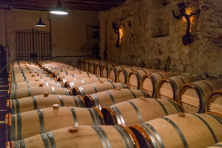 La cantina
