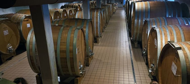 La cantina di affinamento dei vini