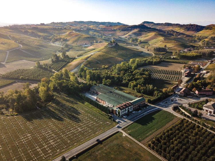 Una visione dall'alto delle Cantine Damilano a