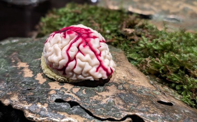 Rat has brains
