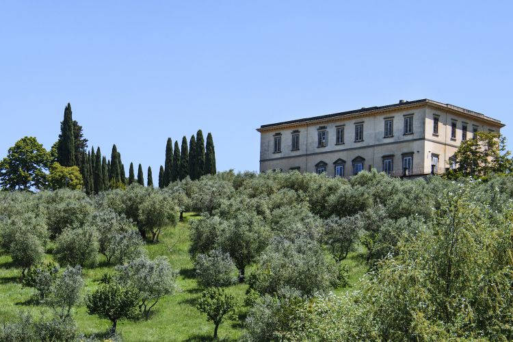In apertura a FirenzeCollegio alla Querce è la prima proprietà italiana di Auberge Resorts Collection, marchio fondato in California