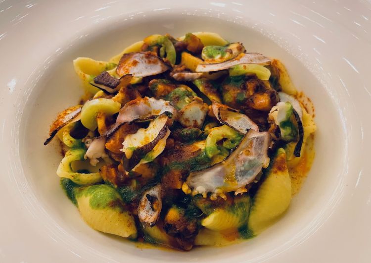Conchiglia ceci, arrabbiata di polpo, prezzemolo e...